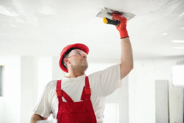 Best Drywall Removal and Disposal  in Lake Delta, NY